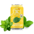 Happy Belly Kombucha-