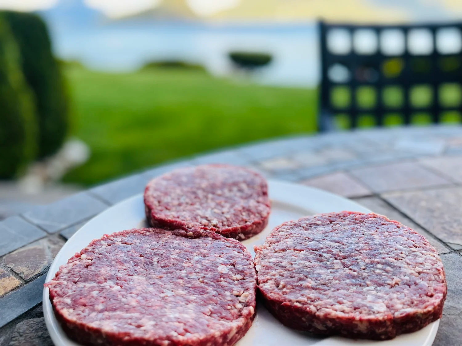 Burke Creek-8 Pack of Grassfed & Grass Finished Dry Aged Burger Patties